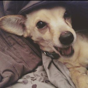 Meet your Posher, Susan